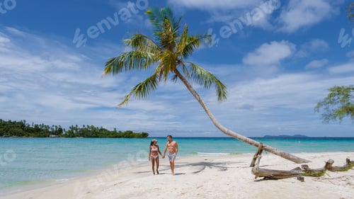 Preview: Tropical beach with palm trees at the Island of Koh Kood Thailand