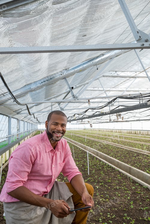 Preview: A commercial greenhouse in a plant nursery growing organic flowers. A man holding a digital tablet.