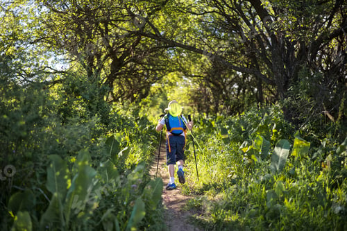 Preview: Beautiful summer trail through the apple garden