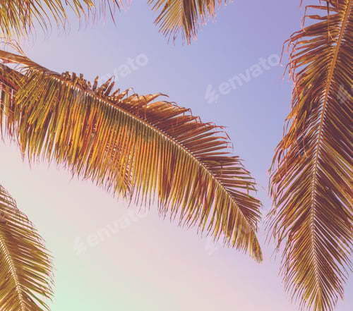 Preview: Retro Tropical Palm Tree