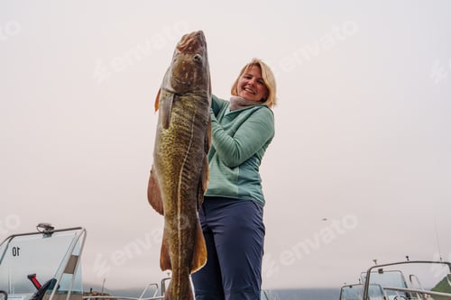 Preview: Happy Fisherwoman holding big arctic cod. Norway happy fishing. Woman with cod fish in hands