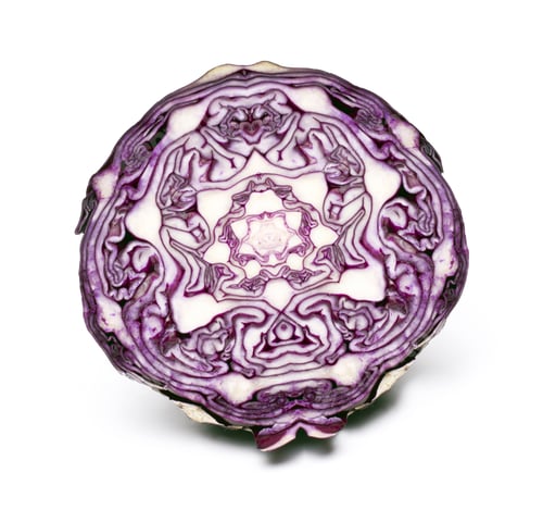 Preview: red cabbage isolated on white background