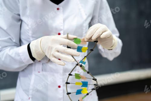Preview: a young asian professor in the university showing DNA model in classroom