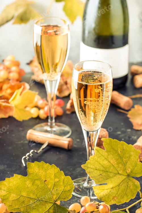 Preview: Champagne wine in glass background. Autumn still life, wine tasting table setting