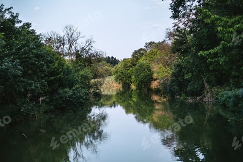 Preview: Wild lake surrounded by trees with green foliage, beautiful landscape.