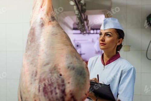 Preview: Meat quality control in butchery.