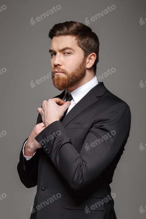 Preview: Portrait of a serious young businessman