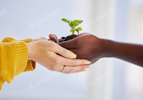 Preview: Teaming up to make a greener tomorrow