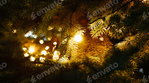 Preview: Christmas lights on decorated Christmas tree in evening, close-up. New Year mood, xmas holidays