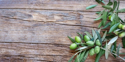 Preview: Olive branch on wooden rustic background . Fresh and Healthy organic olive fruits border banner