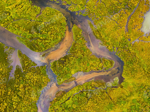 Preview: Aerial view of colorful pond in the marshlands
