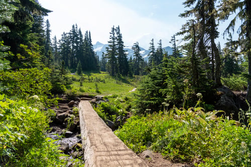 Preview: Log bridge over alpine forest mountain stream, lush green landscape.