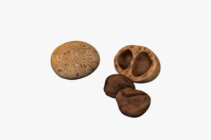 Preview: Speckled sphere and concave forms