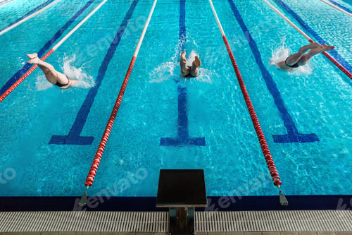 Preview: Rear view of three male swimmers diving into a pool