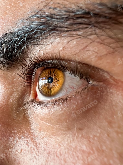 Preview: Glowing brown male eye with black eyebrow