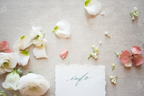 Preview: Still life of paper note with pastel coloured flower heads and petals, overhead view