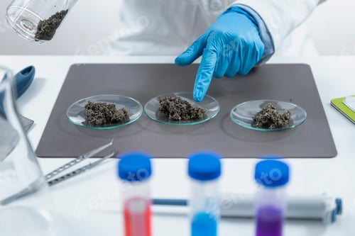 Preview: Pesticide Testing. Laboratory inspection of Organic Farming Samples