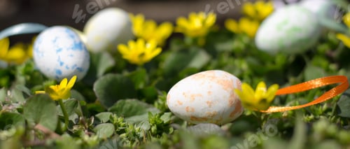 Preview: Easter colorful eggs among yellow flowers in green grass. Easter composition