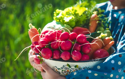 Preview: food