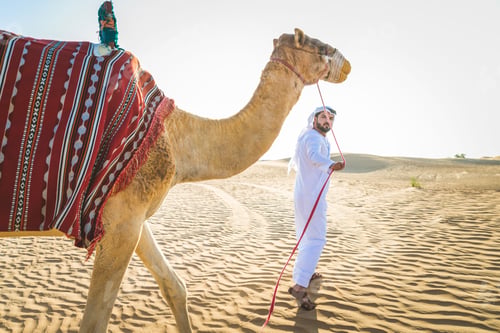 Preview: Arabian man with camel in the desert