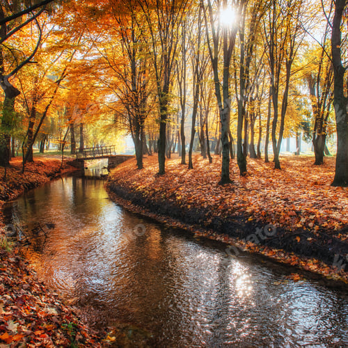 Preview: Walk way bridge over river with colorful trees