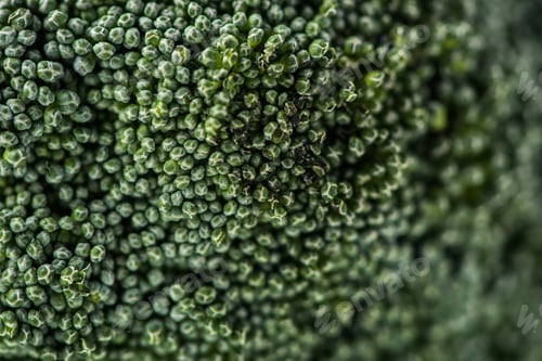 Preview: Close-up shot of broccoli cabbage florets