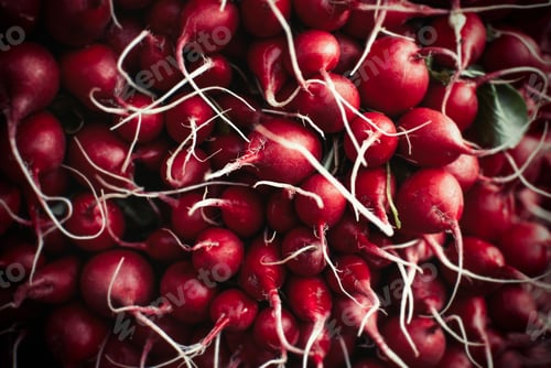 Preview: Closeup shot of fresh harvested radish