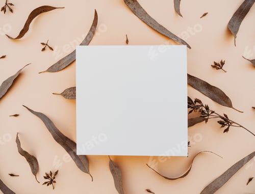 Preview: White blank paper square card mockup and dry eucalyptus leaves on beige background.