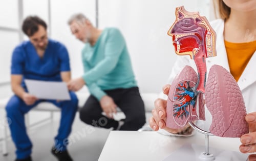 Preview: Specialist discusses lung health with a patient while showcasing a detailed anatomical model in a