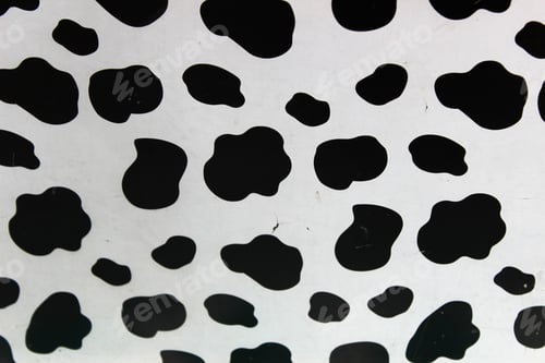 Preview: Black and white background with cowhide print