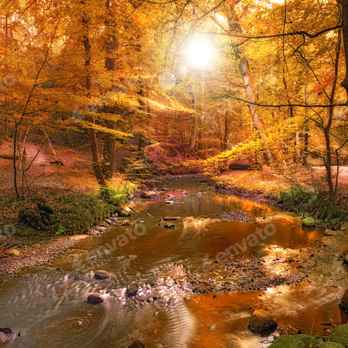 Preview: Autumn. The beauty of autumn -small river in the forest.