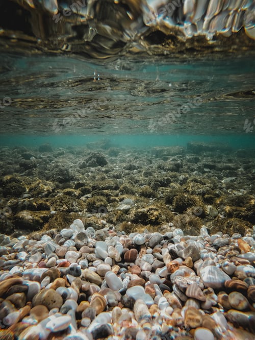Preview: Under the Sea