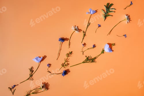 Preview: Small violet flowers on orange background. Diagonal.