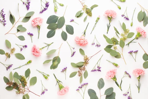 Preview: Flowers and eucalyptus composition.