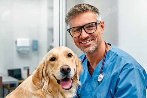 Preview: Animals for examination and treatment in the veterinary clinic