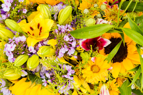 Preview: Summer flowers