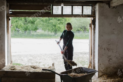 Preview: A woman worker dressed in overalls works in a cowshed on a rural farm.