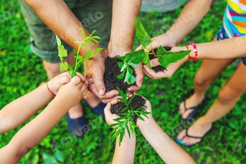 Preview: Grandmother and child hold a tree sprout in their hands. Selective focus.