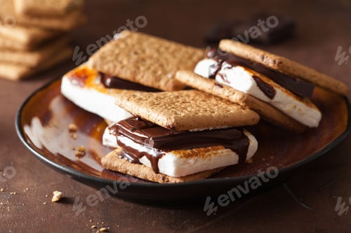 Preview: homemade marshmallow s'mores with chocolate on crackers