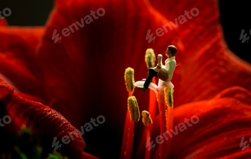 Preview: sit and relax