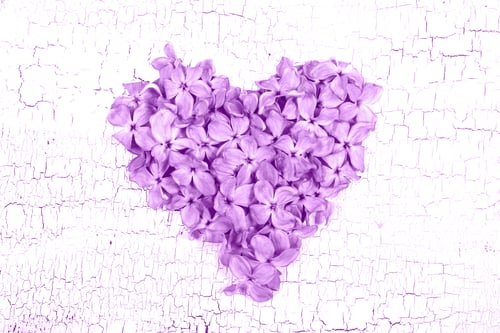 Preview: Heart Of Flowers Lilac Lies On The Table