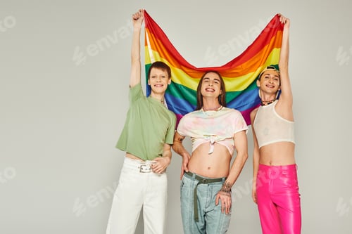 Preview: diverse group of cheerful gay people in colorful clothes looking at camera and holding rainbow lgbt