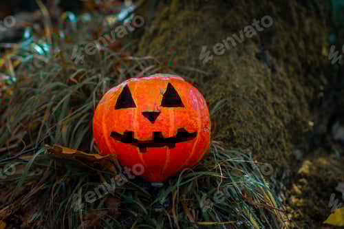 Preview: Halloween Pumpkin in the Forest. Scary pumpkin decorations with creepy toothy smile at wood
