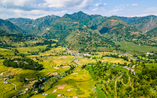 Preview: drone view of Paddy farmland
