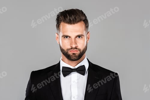 Preview: elegant man in black suit and bow tie isolated on grey