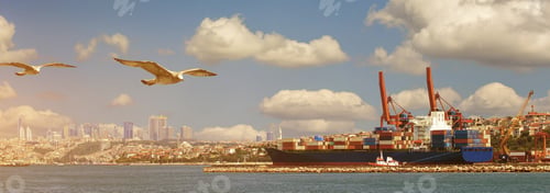 Preview: A large ship is loaded at this port. Sea transportation