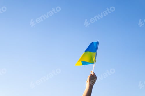 Preview: Ukrainian child boy in white t shirt with yellow and blue flag of Ukraine in field.