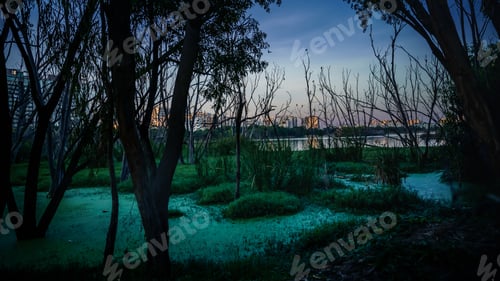 Preview: Mystical scenery of water with trees at sunset