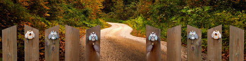 Preview: Banner fence with decor owls, autumn background, rustic path