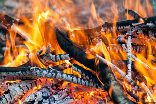 Preview: Close up of hot burning fire wood coal